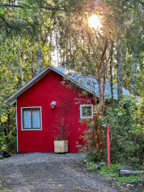 Molco Cabins Bosque